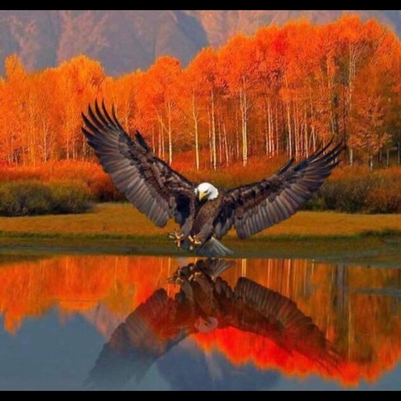 huntercarlson