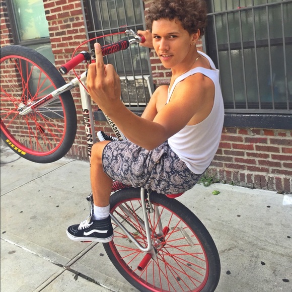 svccessful_ant