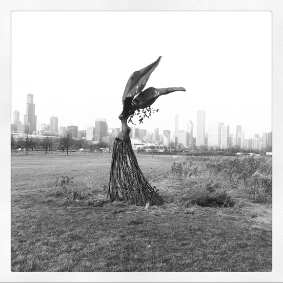 amightybird
