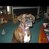 scoobydoo39