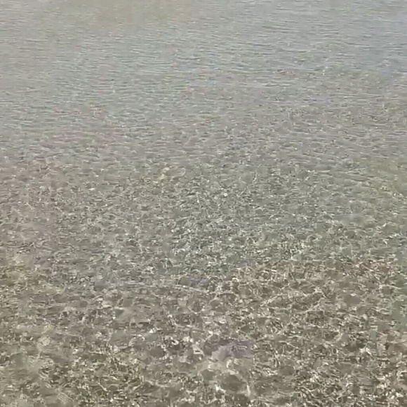 erika_a87