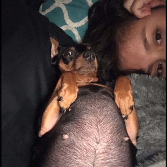 bellathestreet