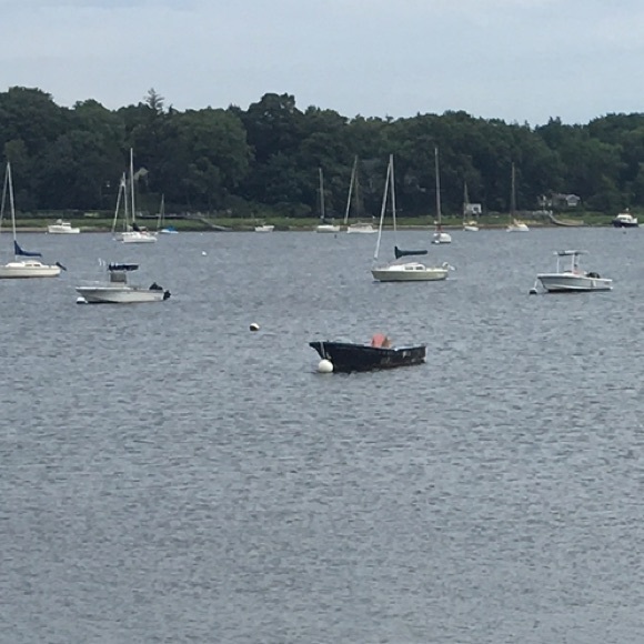 ardens61