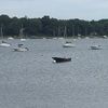 ardens61