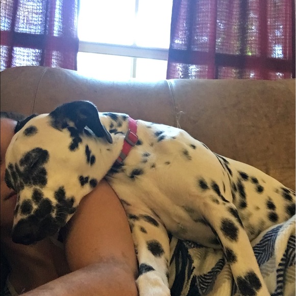 charlotteminnie