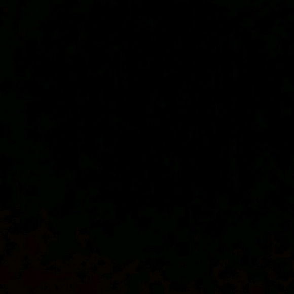 nicole_velaz