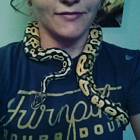 xhousekittenx