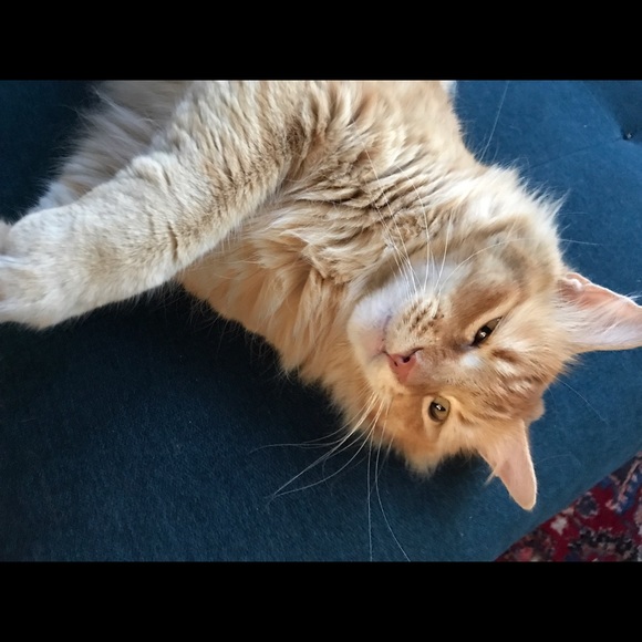 abbypalko