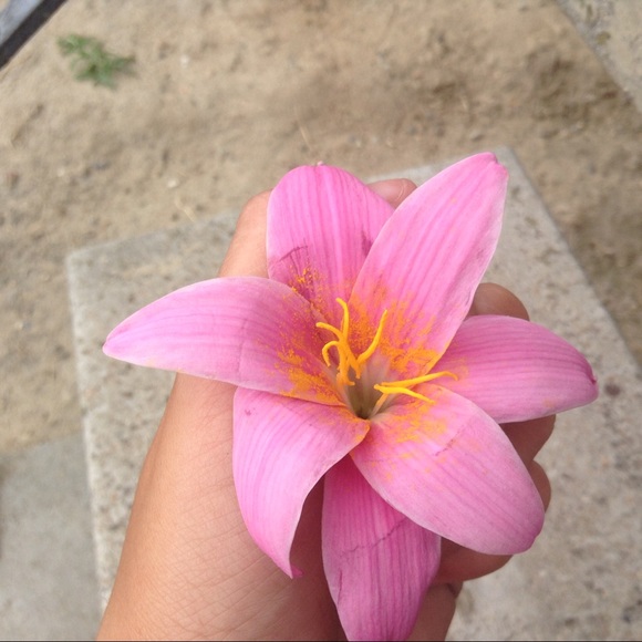 alissaserrato_