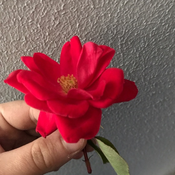 elf030303