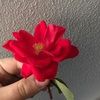 elf030303