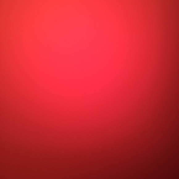 pardo_cecilia10