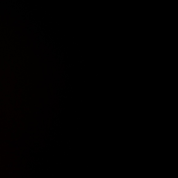 pamelapettisa1