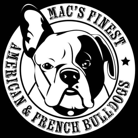 macsfinest