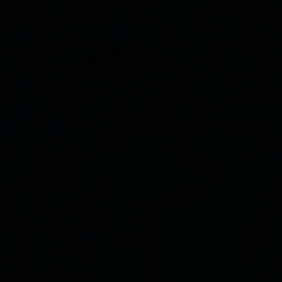 vanessaroxas12