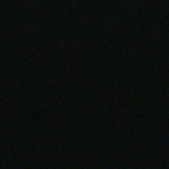 panther1175