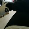 andrewb_47