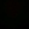jelly_1