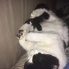mandy073004