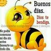 mgarrido20
