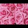 lucy_r
