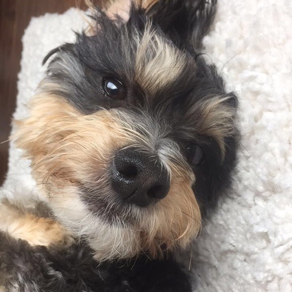lillibrittain