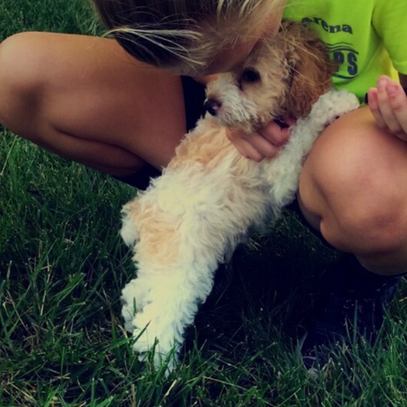 jessie_cook