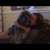lauren_roddam