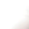 smit_0613