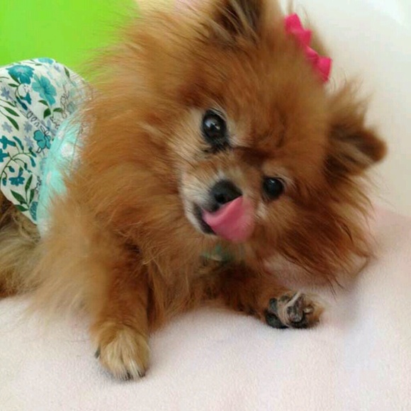 prettygirl3882