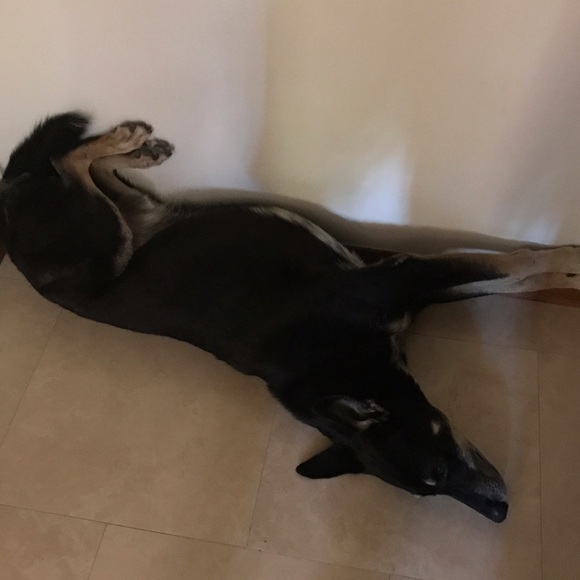 slizzleslice