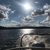 laney_1208