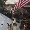 jcavanaugh47