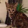 hannah_hjs47