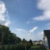 sheabrett