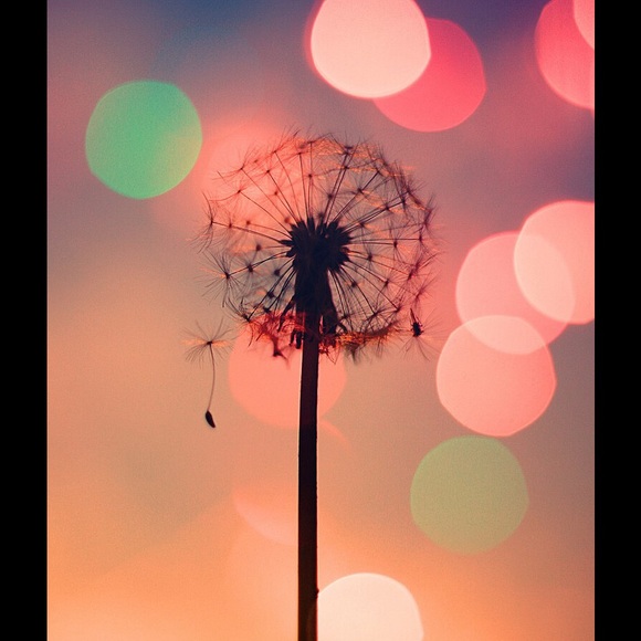 emily_moxley
