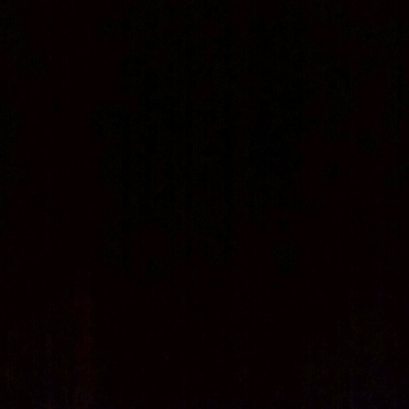 bigtae_1