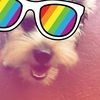 julifranco27