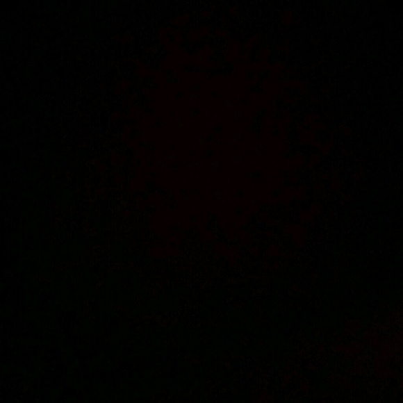 jacey_auggie