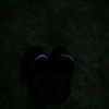 jjjay231