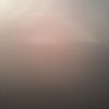 kadince_carrion