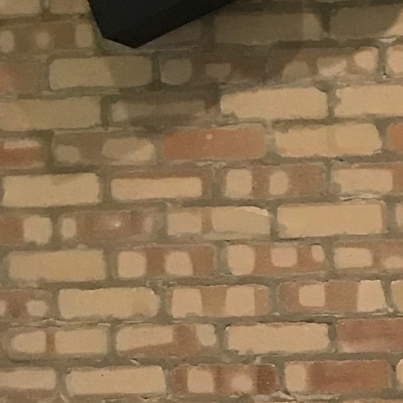 alyssaholmes6
