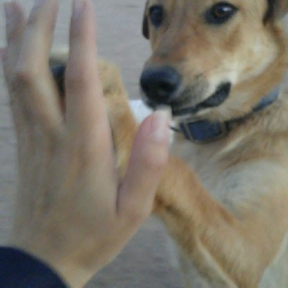 graciechacon