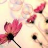 monicah813