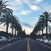 davidpelayo123