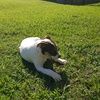 swilliams_0308