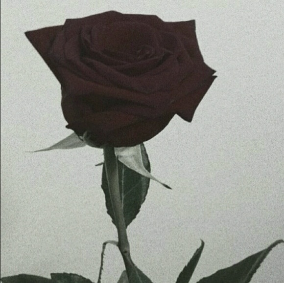 aleeeperez08