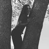 cindycedeno10