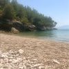 jtomasevic