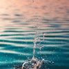 blueparallel